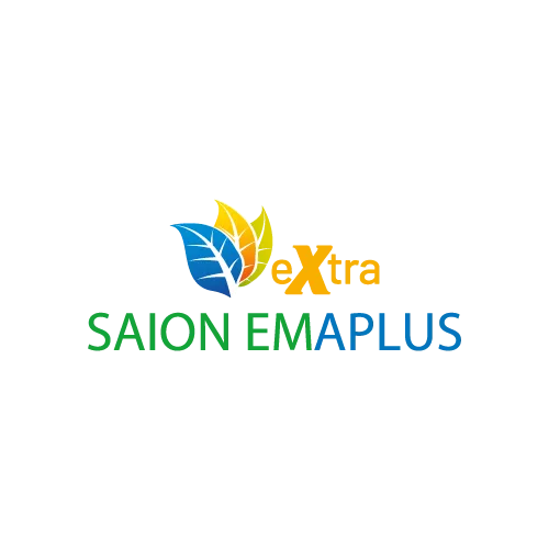 Saion Emaplus logo tasarımı